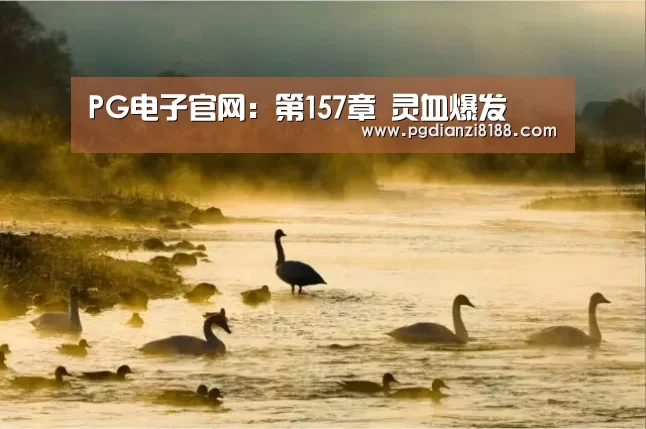 PG电子官网